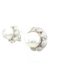 18K White Gold Pearl Diamond Earring