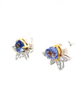 18K White Gold Sapphire Earring