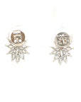 18K White Gold Diamond Earring