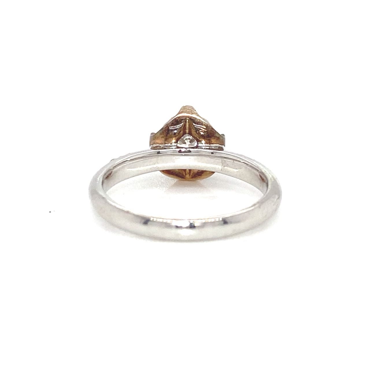 18K White Gold Lotus Top Illu Medium Band DIamond Ring