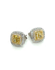 18K White Gold Yellow Fancy Cushion DIamond Double Halo Diamond Earrings