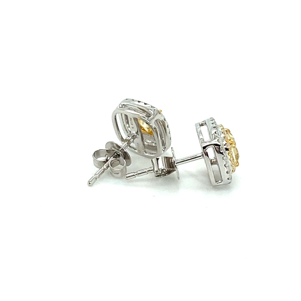 18K White Gold Yellow Fancy Cushion DIamond Double Halo Diamond Earrings